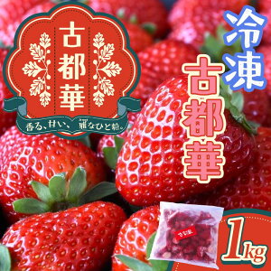 yӂ邳Ɣ[Łz Ós Ⓚ 1kg ^ c_ uh   Ƃ t[c ʕ ޗǌ s
