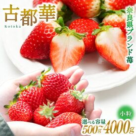 【ふるさと納税】ブランド苺 新鮮 古都華 (小粒) 約500g ～4000g【2026年1月上旬～5月下旬に順次発送】／ スマイル葛城農業 ブランド いちご 苺 ことか イチゴ スイーツ フルーツ 甘い 果物 奈良県 葛城市