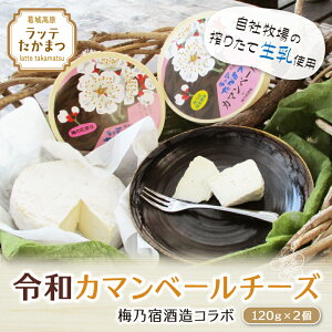 yӂ邳Ɣ[Łzi①j be܂ ߘaJ}x[ `[Y2 ~Th R{ ^ ޗǌ s