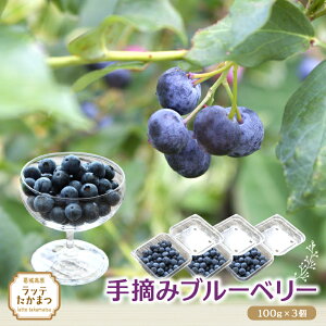 yӂ邳Ɣ[Łzi①j E݃u[x[ 7`8 100g×3 ^   q ylatt029z