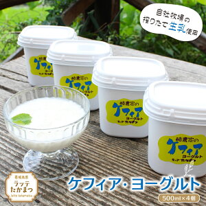 yӂ邳Ɣ[ŁzPtBAE[Og500ml×4 ^   q PtBA [Ogylatt011z