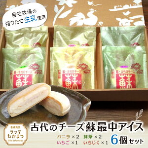 yӂ邳Ɣ[ŁziⓀj Ñ̃`[YhŒACX@SރZbgioj2A2AAj ^   q `[Y ACXylatt0028z