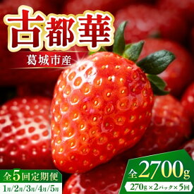 【ふるさと納税】【全5回定期便】葛城市産古都華　270g×2パックを5か月連続でお届け！　1月/2月/3月/4月/5月【ichi-tkb0001】