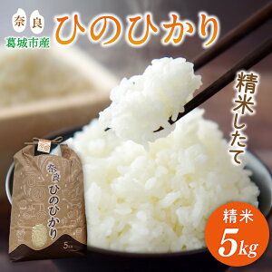 yӂ邳Ɣ[Łz ys\zߘa7NY Ђ̂Ђ 5kg Ĕ_ƒ ^ Γc ̕   ޗǌ s