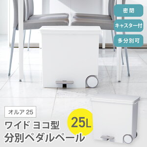 【ふるさと納税】 オルア25ワイド 横型 分別ペダル ペール LBD-11 / ゴミ箱 ごみ箱 ダストボックス キャスター 日本製 オシャレ ライクイット like-it