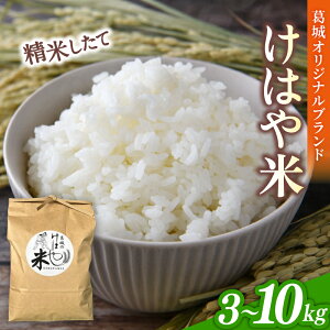 yӂ邳Ɣ[Łz ystzc͂Iߘa7NxY@V ͂  3kgE5kgE6kgE10kg ^    V  Ђ̂Ђ qmqJ sHN ޗǌ s