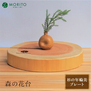 yӂ邳Ɣ[ŁzX̉ԑ䁃̔N֔v[g/ X MORITO ؐ  VRf   ޗǌ FɎs