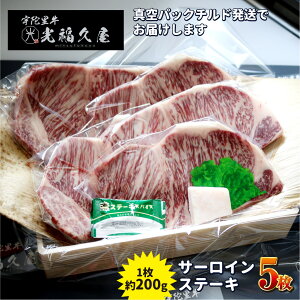 yӂ邳Ɣ[Łz`h Fɗ T[C Xe[L 5 i 1 200g ) ^  Xe[L o[xL[ BBQ Lv јa   yY Ε  ޗǌ FɎs v
