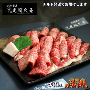 yӂ邳Ɣ[Łz`h Fɗ ēp 350g ^ ē  Ăp Mtg  o[xL[ BBQ Lv јa   yY ؂ ؂藎Ƃ  ޗǌ FɎs 