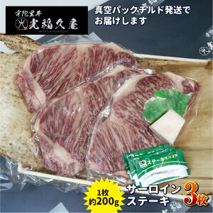 yӂ邳Ɣ[Łz`h Fɗ T[C Xe[L 3 i 1 200g ) ^  Xe[L o[xL[ BBQ Lv јa   yY Ε  ޗǌ FɎs v