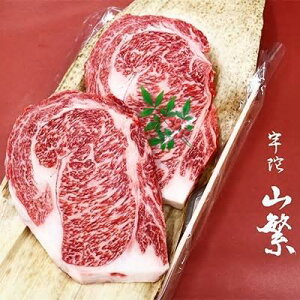 yӂ邳Ɣ[ŁzY F Fɋ I [X  Xe[L 2 1kg Y јa `h / R ӂ邳Ɣ[  lC BBQ Lv t LO  O  ԗi 