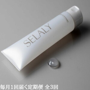 yӂ邳Ɣ[Łz SELALY (Z[) ~k WF IC NWO S3 ӂ邳Ɣ[  CNƂ XLPA aA VR ێ RX ejq 