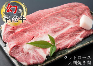 yӂ邳Ɣ[ŁzY F Fɋ NV^ [X 唻 ē 600g Y јa `h / R ӂ邳Ɣ[  A lC }jA t LO  O  ԗi 