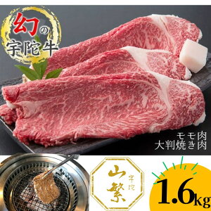 yӂ邳Ɣ[ŁzY F Fɋ Y јa  唻 ē 1.6kg `h / F R ӂ邳Ɣ[  A lC BBQ Lv t LO  O  ԗi 