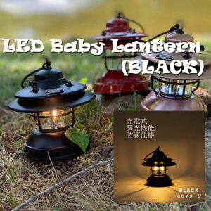yӂ邳Ɣ[ŁzLED [d xCr[ ^ ubN / ӂ邳Ɣ[ Ɩ BABY  Lv USB hH  ЊQ d 䕗 h ^ sbco[O AEghA X`[ [NX 
