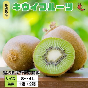 yӂ邳Ɣ[Łz12ȍ~IׂTCYEv~A LEC t[c S`4LTCY Ǐn ^ ӂ邳Ɣ[ LEC LECt[c Mtg h{ ʕ yY w
