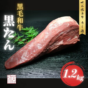 yӂ邳Ɣ[Łz(Ⓚ) јa ^ 1{ 1.2kg^ ubN ^ Y 炩 O   Mtg A5 Lv ̓ ̓   yY ē  L