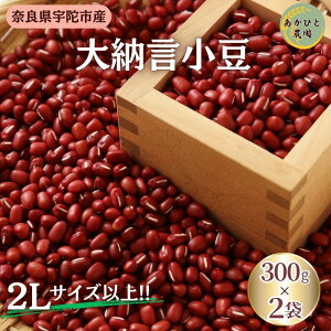yӂ邳Ɣ[ŁzFɑ[300g×2܁i2LTCYȏj ^  Y  [  ޗǌ FɎs ЂƔ_