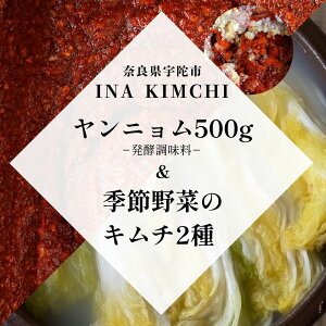 yӂ邳Ɣ[Łzj500g Gߖ؂̃L`2ie500gj^ L` j\[X ԃL` L`  O INA Lab INA KIMCHI   ޗǌ FɎs