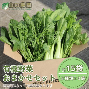 yӂ邳Ɣ[Łzi`hj@R_@L@؁@܂Zbg ^R_ L@ ` I[KjbN xW^A _ ؃Zbg  _ _ƒ ӂ邳Ɣ[ 