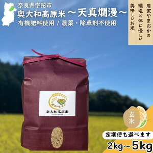 yӂ邳Ɣ[ŁzV^ࣖ a  Iׂ!! z / eʁ ^ ӂ邳Ɣ[ _    R Y V  ꓙ _Ƃ܂ L@엿gp _sgp 