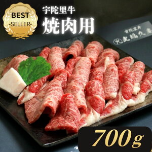 yӂ邳Ɣ[Łz`h Fɗ ēp 700g ^ ē  Ăp Mtg  o[xL[ BBQ Lv јa   yY ؂ ؂藎Ƃ  ޗǌ FɎs 