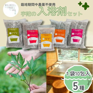 yӂ邳Ɣ[Łz 5×e10 / EFlXt[Y UDA ӂ邳Ɣ[ Y L@͔|  bNX XgX rP J  䂸 I  ~g a