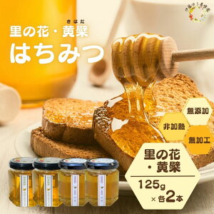 yӂ邳Ɣ[ŁzY  ݂͂ ̉ 125g @ 125g (e2{)^ I n`~c M Y H SԖ PԖ Ln_  ɓ䂤{I ޗǌ FɎs