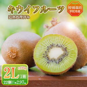 �ԗ�i�摜