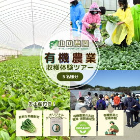 【ふるさと納税】有機農業 収穫体験 ツアー お土産付 5名様迄／ 農家 有機野菜 オーガニック 無農薬 SDGs 関西 チケット カレー 山口農園 奈良県 宇陀市