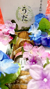 yӂ邳Ɣ[ŁzaA@ĉَq@Zbg@^GNXe@tBiVF@NbL[@@v[g@yY@񂹁@ޗǌ@FɎs