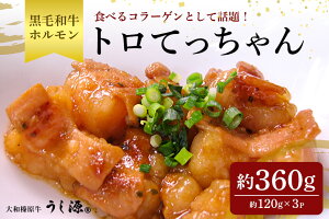 yӂ邳Ɣ[Łz(Ⓚ)@Y@јa@t@gĂ@120g×3pbN^{X z ē BBQ AEghA Lv ̓ ̓ ޗǌ FɎs   yY 