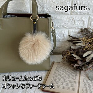 yӂ邳Ɣ[ŁzSAGAFOX є t@[`[ A[h ^ є̃TKtHbNX U[ANZT[ ڂڂA ޗǌ FɎs