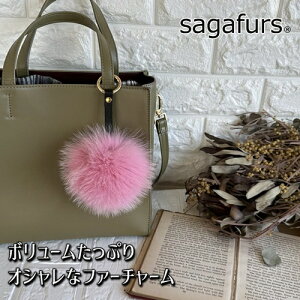 yӂ邳Ɣ[ŁzSAGAFOX є t@[`[ [YsN ^ є̃TKtHbNX U[ANZT[ ڂڂB ޗǌ FɎs
