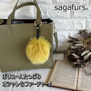 yӂ邳Ɣ[ŁzSAGAFOX є t@[`[ CG[ ^ є̃TKtHbNX U[ANZT[ ڂڂE ޗǌ FɎs