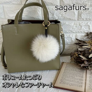 yӂ邳Ɣ[ŁzSAGAFOX є t@[`[ Xm[zCg ^ є̃TKtHbNX U[ANZT[ ڂڂF ޗǌ FɎs