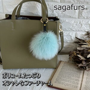 yӂ邳Ɣ[ŁzSAGAFOX є t@[`[ Gh ^ є̃TKtHbNX U[ANZT[ ڂڂH ޗǌ FɎs