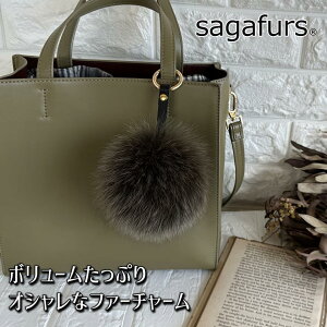 yӂ邳Ɣ[ŁzSAGAFOX є t@[`[ J[L ^ є TKtHbNX U[ANZT[ ڂڂ L[z_[  ޗǌ FɎs
