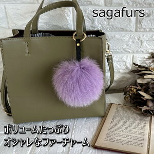 yӂ邳Ɣ[ŁzSAGAFOX є t@[`[ x_[ ^ є̃TKtHbNX U[ANZT[ ڂڂJ ޗǌ FɎs