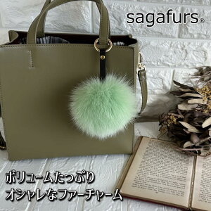 yӂ邳Ɣ[ŁzSAGAFOX є t@[`[ CgO[ ^ є̃TKtHbNX U[ANZT[ ڂڂL ޗǌ FɎs