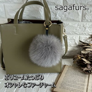 yӂ邳Ɣ[ŁzSAGAFOX є t@[`[ CgO[ ^ є̃TKtHbNX U[ANZT[ ڂڂN ޗǌ FɎs