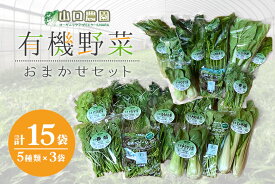 【ふるさと納税】（チルド）　山口農園　有機野菜　おまかせセット　／　有機野菜　伝統野菜　オーガニック　ベジタリアン