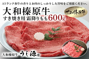 yӂ邳Ɣ[Łz(Ⓚ) aY Ăp ~  600g ^  {X ӂ邳Ɣ[ A5 XCX V[gd   a  ޗǌ FɎs   yY 