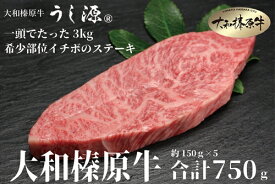 【ふるさと納税】（冷凍） 大和榛原牛 稀少部位 赤身 もも イチボ ステーキ 150g×5枚 計750g ／ うし源 本店 A5 牛肉 お肉 和牛 お取り寄せ キャンプ BBQ アウトドア お土産 父の日 母の日 奈良県 宇陀市