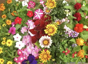 yӂ邳Ɣ[Łz4`6\@YnIẲԒdc40lߍ킹