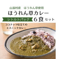 【ふるさと納税】山添村の“ほうれん草カレー”6食セット