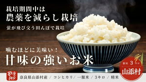 �y�ӂ邳�Ɣ[�Łz�R�Y���Y �ꕞ�� �R�V�q�J�� 3kg ����