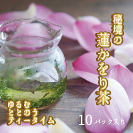 【ふるさと納税】心もデトックス　秘境の『蓮かをり茶』（1袋2g入り×10袋）