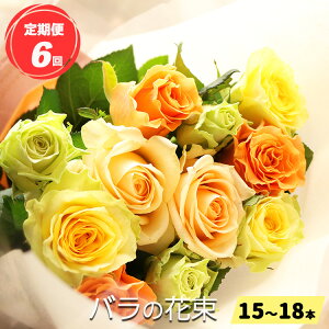yӂ邳Ɣ[Łz 3  or  6  o  ԑ i15`18{ju[PTCYi30cmxj | [Y t[ Q̃o Quh ĂȂ KN ͂ ޗǌ Q