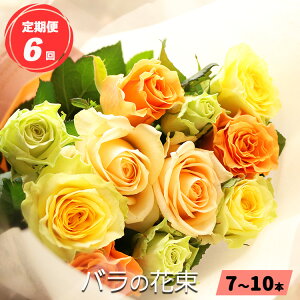 yӂ邳Ɣ[Łz 3 or  6  o  ԑi7`10{j u[PTCYi30cmxj| [Y t[  Q̃o Quh ĂȂ KN ΂ ޗǌ Q